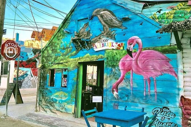 Holbox Punta Mosquitos + Transportation from Riviera Maya - Practical Tips for the Day Trip