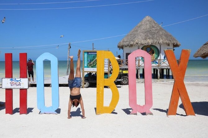 Holbox Punta Mosquitos + Transportation from Riviera Maya - The Experience Provider and Booking Details