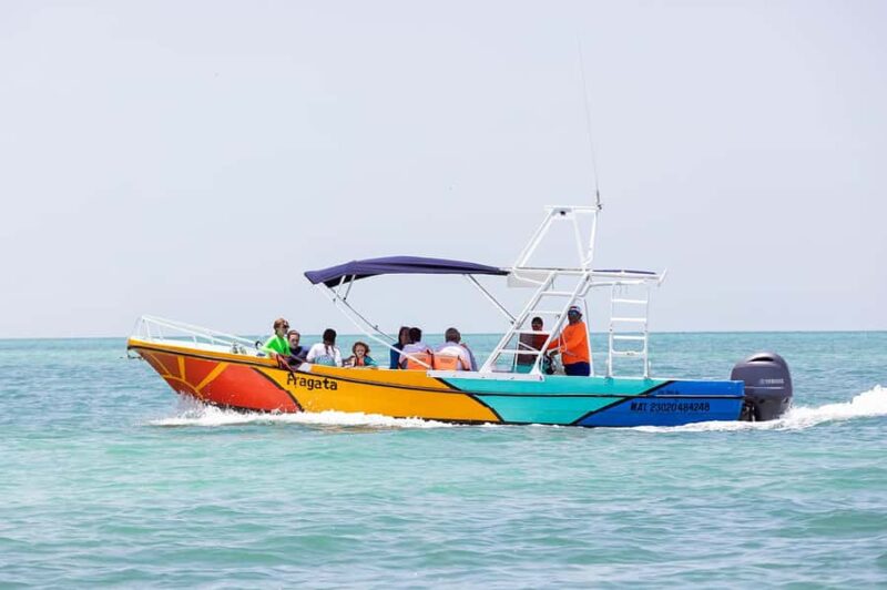 Holbox: Search and Swim with Whale Sharks ! All Inclusive. - Key Points