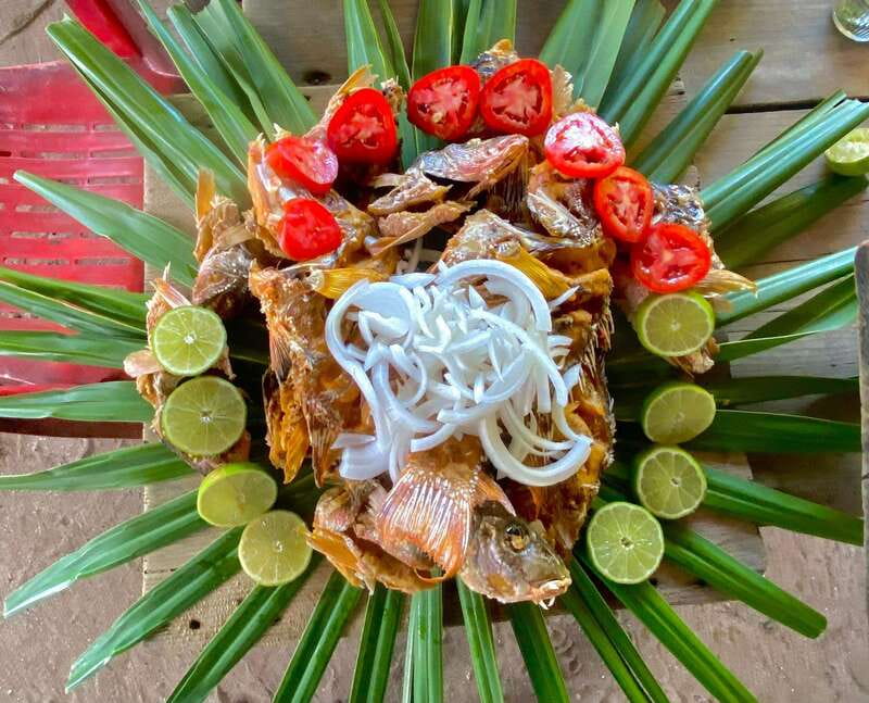 Holbox: Snorkeling, Fishing, and Ceviche Tour - Discover the Caribbean Sea on a Snorkeling and Fishing Adventure in Holbox