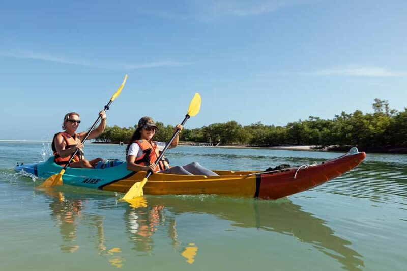Holbox: Sunrise Kayak Tour through the Mangroves - Discover the Magic of Holbox at Sunrise with a Kayak Tour