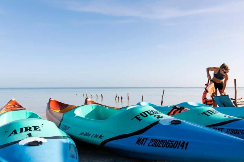 Holbox: Sunrise Kayak Tour through the Mangroves - Encounters with Birds and Wildlife in the Mangroves