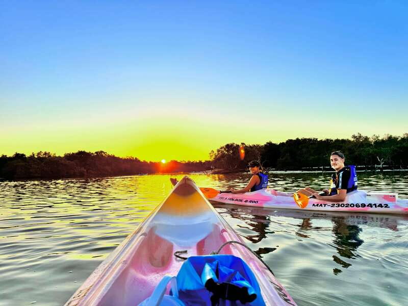 Holbox: Sunrise & Mangrove Kayak Tour - Discover Holbox’s Unique Sunrise & Mangrove Kayak Tour
