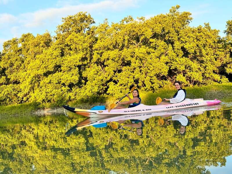 Holbox: Sunrise & Mangrove Kayak Tour - The Unique Landscape Inside the Mangrove Ecosystem