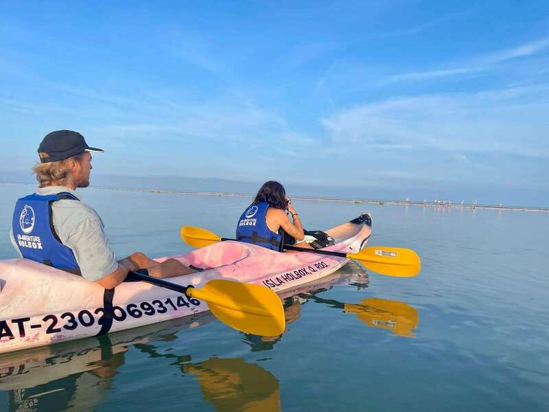 Holbox: Sunrise & Mangrove Kayak Tour - The Wildlife Encounters: Birds, Crocodiles, and More