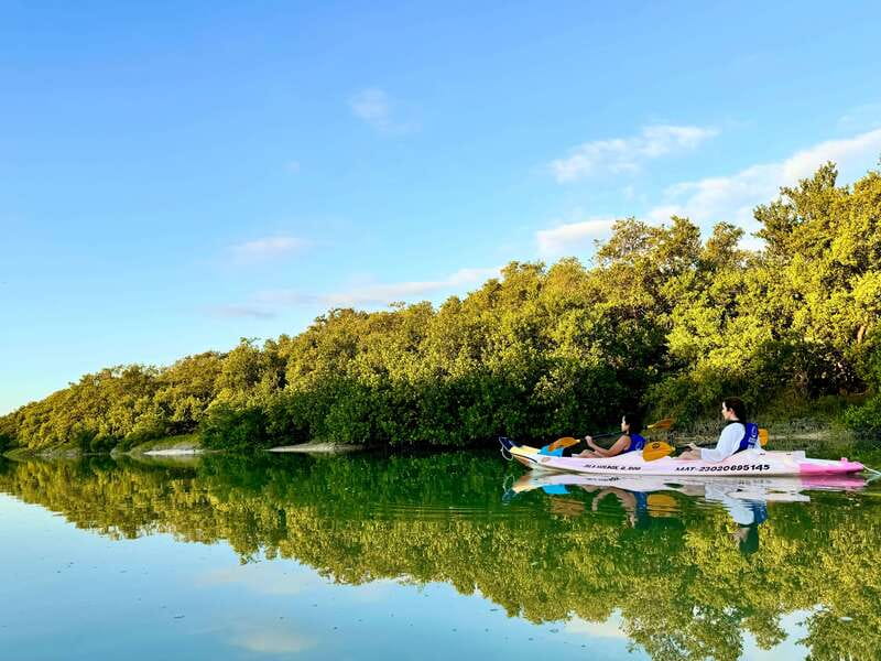 Holbox: Sunrise & Mangrove Kayak Tour - The Snack Break and Educational Talks