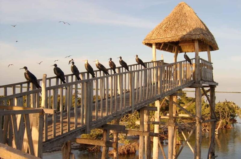 Holbox: Three Islands Tour - Key Points