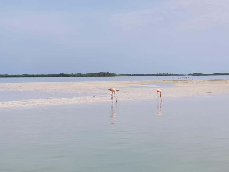 Holbox: Three Islands Tour - Holbox: Three Islands Tour - Final Thoughts