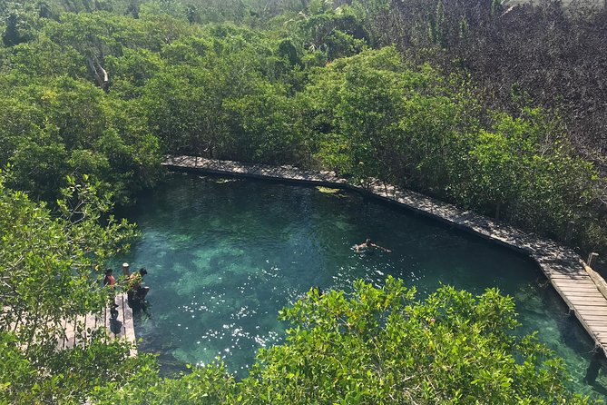 Holbox tour from Cancun and Riviera Maya - Lunch at a Private Beach Club: A Relaxed Dining Experience