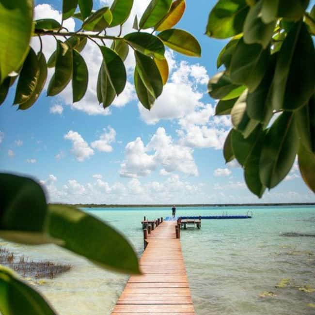 Holbox: Tour of Holbox Island, Isla Pasión, and Punta Mosquito. - Wildlife and Birdwatching Highlights During the Tour