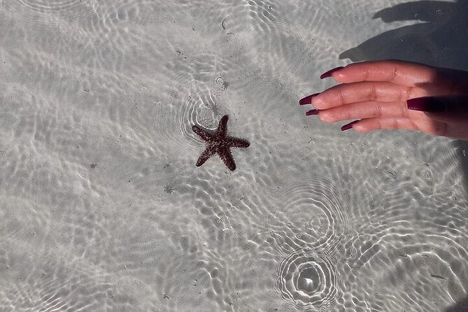 Holbox Tour Punta Mosquito from Cancun - Holbox Island: Colorful Streets and Murals