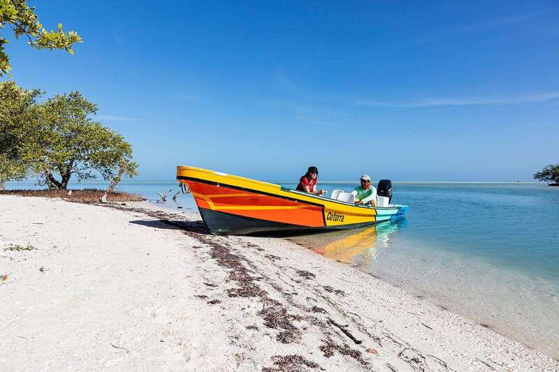 Holbox: Yalahau, Passion Island and Punta Mosquito Boat Tour - Wildlife Encounters and Birdwatching Opportunities