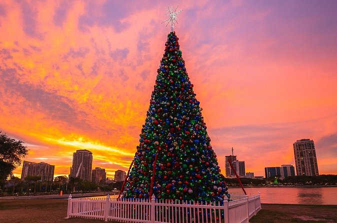 Holiday Lights Golf Cart Ride in Downtown St. Petersburg - Accessibility, Weather Considerations, and Booking Tips