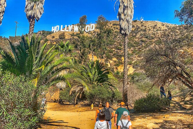 Hollywood Sign Express Tour with Comedians and Their Dogs - Group Size and Meeting Details