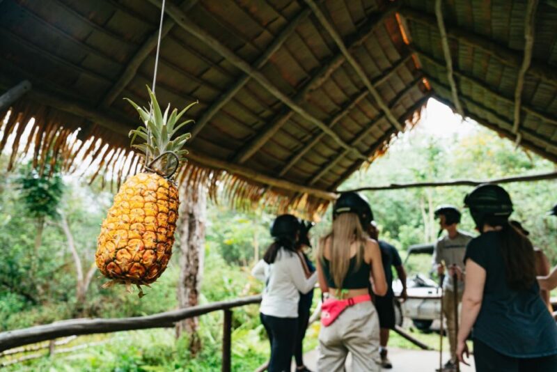 Holualoa: Polynesian Culture ATV Tour - Safety and Practical Tips for the Tour