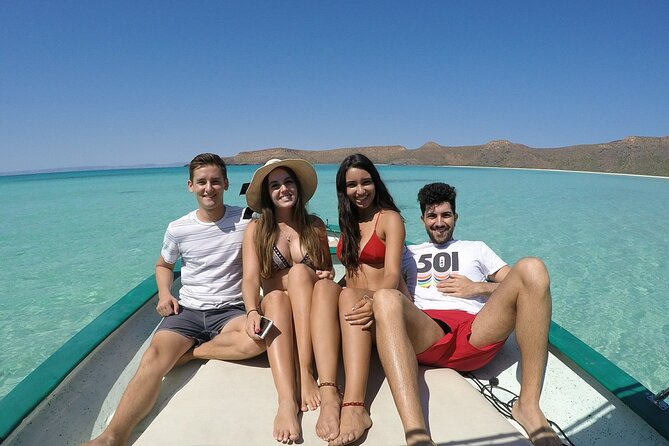 holy spirit island tour - Snorkeling with Sea Lions in Clear Blue Waters