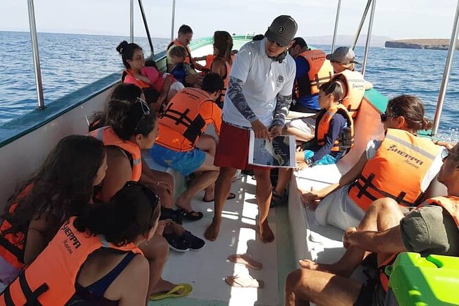 holy spirit island tour - Exploring Isla Espíritu Santo’s Stunning Beaches