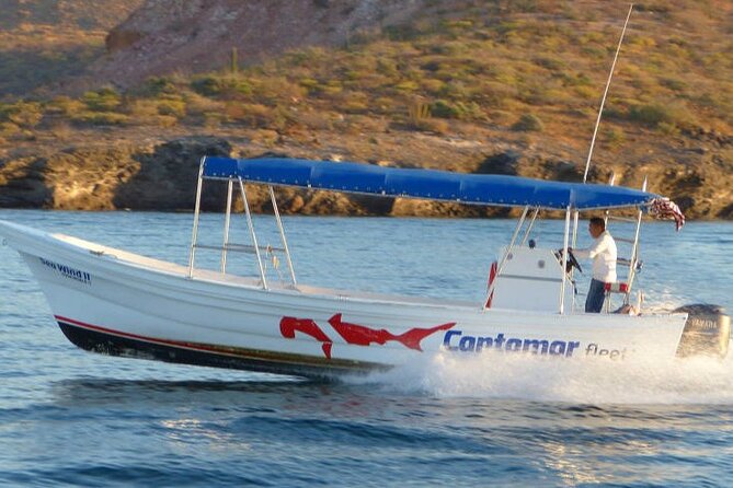 Holy Spirit Island Tour Sea Lions Snorkeling and Beach - Isla Espiritu Santo: A Natural Paradise