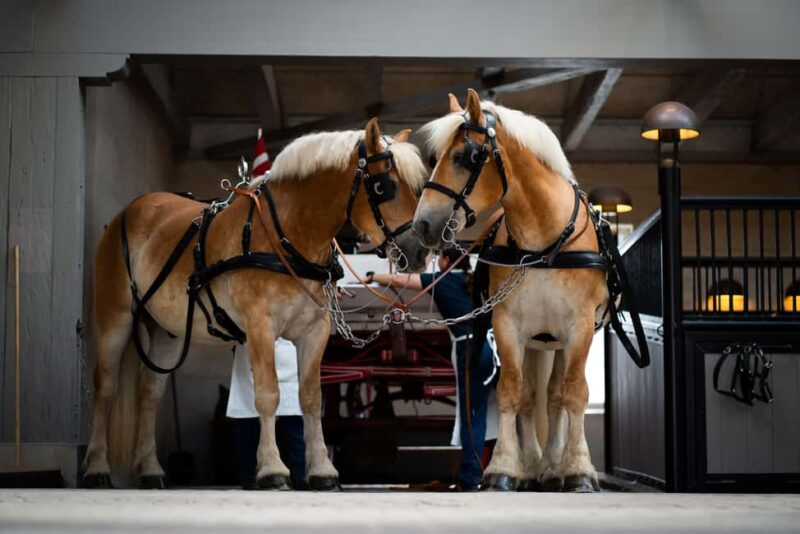 Home of Carlsberg Entry Ticket + Exploring Carlsberg Tour - Key Points