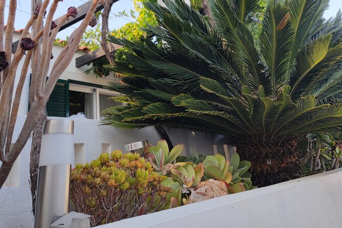 Homemade algarvian with a twist gourmet experience - Booking and Cancellation Policy