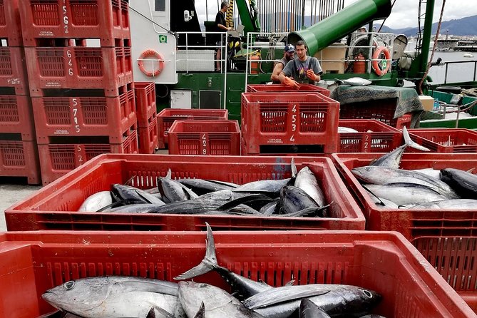 HONDARRIBIA SIGHTSEEING and PINTXOS - Private Gastronomic Adventure - Gourmet Pintxos and Regional Drinks at Marina Arriba Monte