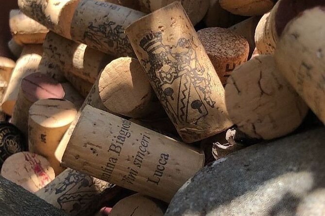 Honest Wines- Wine tasting at Cantina Biagiotti - Francesco and the Family: Hosts Who Make the Difference