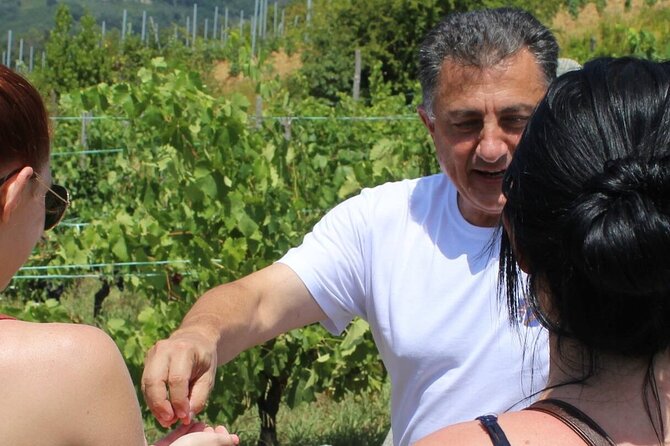 Honest Wines- Wine tasting at Cantina Biagiotti - Accessibility and Practical Tips for Visiting