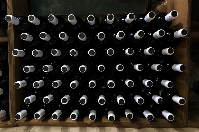 Honest Wines- Wine tasting at Cantina Biagiotti - The Experience’s Unique Charm and Strengths