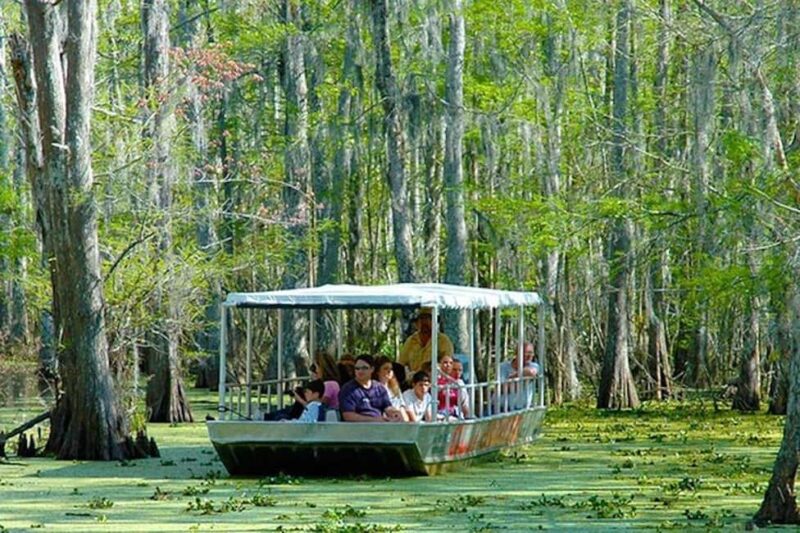 Honey Island Swamp and Bayou Boat Tour with Transportation - Practical Details and Tour Logistics