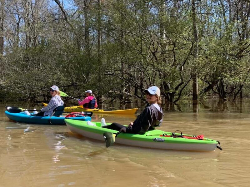 Honey Island Swamp Kayak Tour - How Honey Island Swamp Kayak Tour Compares to Other Waterway Excursions