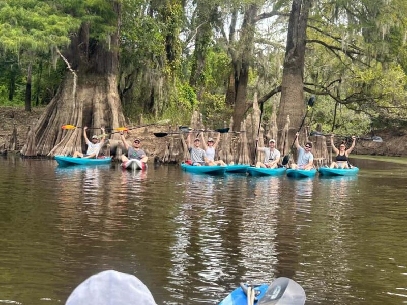 Honey Island Swamp Kayak Tour - Practical Considerations and Preparation Tips