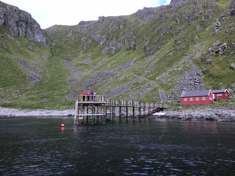 Honningsvåg: North Cape King Crab & Arctic Wildlife Safari - Exploring the Historic Village of Kjelvik