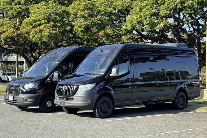 Honolulu Airport Transfer + Flower Lei Greeting - How the Flower Lei Greeting Adds a Unique Hawaiian Touch