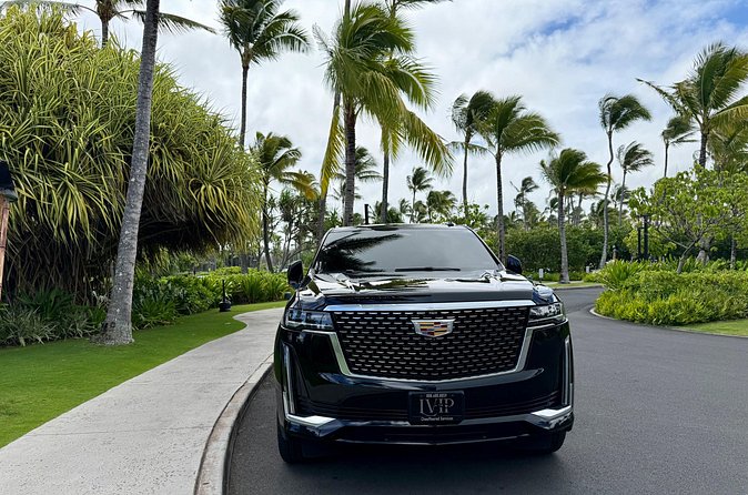 Honolulu Airport Transfer to Waikiki, Kahala & Cruise Ship Port - Limitations and Service Areas