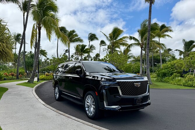 Honolulu Airport Transfer to Waikiki, Kahala & Cruise Ship Port - Booking Flexibility and Cancellation Policy