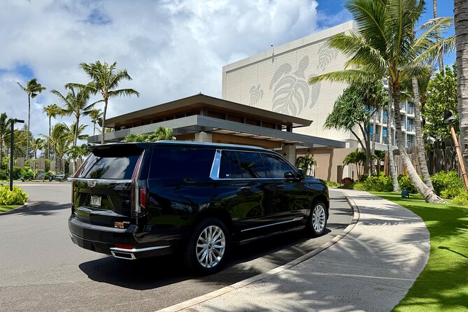 Honolulu Airport Transfer to Waikiki, Kahala & Cruise Ship Port - The Value of a VIP Transfer Experience in Honolulu