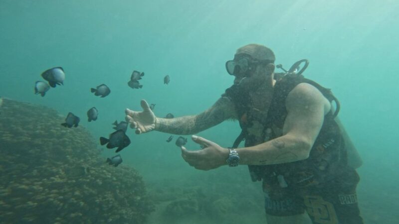 Honolulu: Beginner Scuba Diving Tour With Free Videos - Location and Meeting Details: Magic Island Lagoon