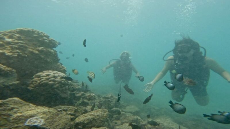 Honolulu: Beginner Scuba Diving Tour With Free Videos - What to Bring and Practical Tips