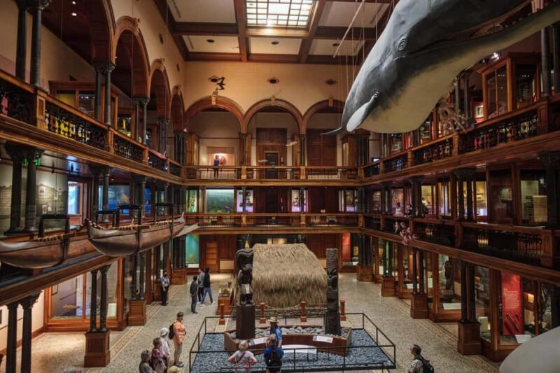 Honolulu: Bishop Museum General Admission Ticket - What Makes the Bishop Museum a Must-Visit in Honolulu