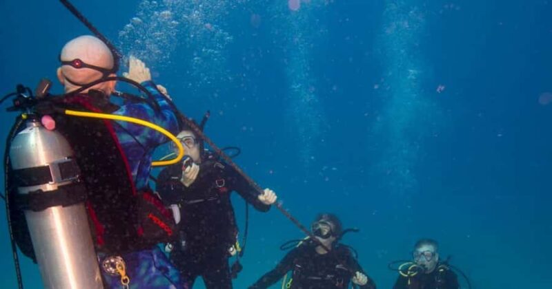 Honolulu: Discover Scuba Diving Experience with Gear - Key Points