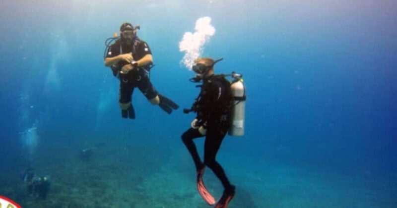 Honolulu: Discover Scuba Diving Experience with Gear - Honolulu’s Top Location for Discover Scuba Diving