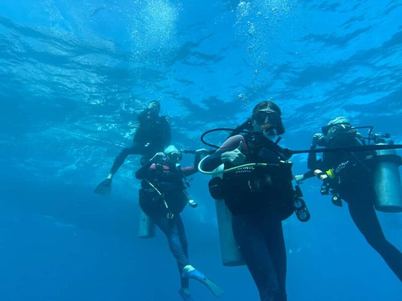 Honolulu: Discover Scuba Diving Experience with Gear - Small Group Experience for Personalized Attention
