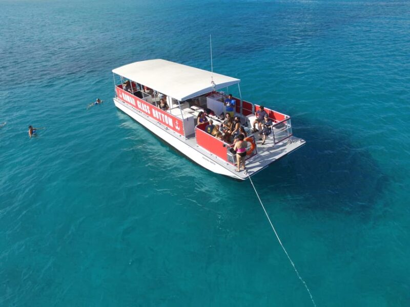 Honolulu: Glass Bottom Boat Tour along Oahu's South Shore - Why This Tour Is a Great Choice for Families and Solo Travelers