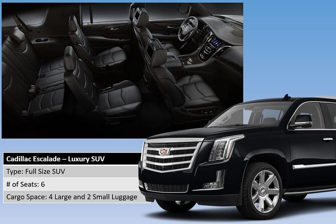 Honolulu Harbor Cruise Terminal Transfer by Luxury Vehicle - Who Would Benefit Most from This Service?