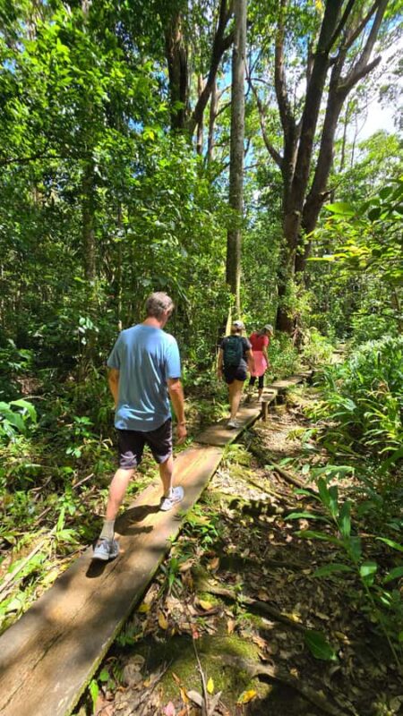 Honolulu: Hawaiian Volcanic Rainforest Hike - Explore Oahu’s Volcanic Rainforest on a Guided Hike for $90