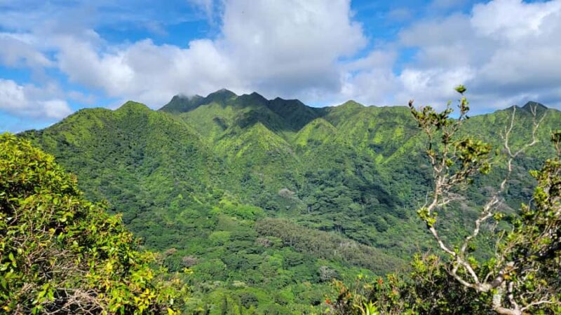 Honolulu: Hawaiian Volcanic Rainforest Hike - Key Points