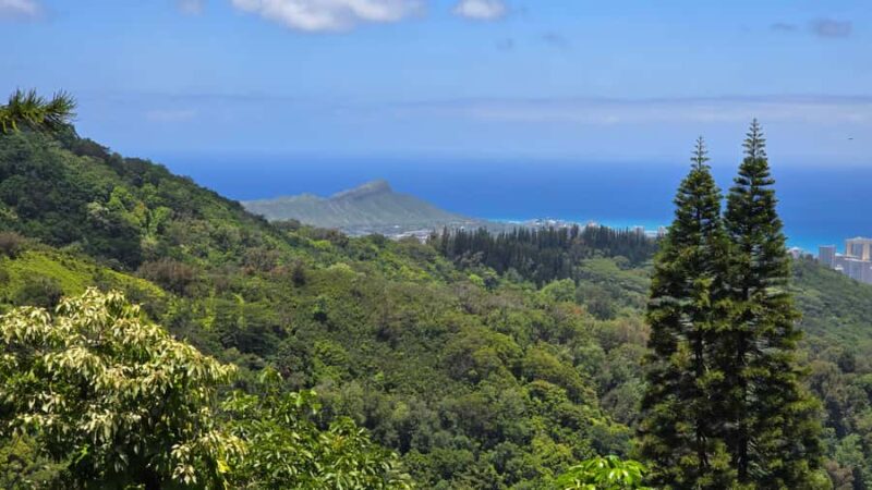 Honolulu: Hawaiian Volcanic Rainforest Hike - The Guides: Knowledgeable and Friendly Experts