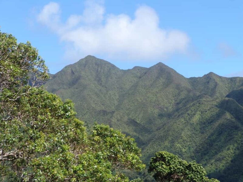 Honolulu: Hawaiian Volcanic Rainforest Hike - Final Thoughts on the Hawaiian Rainforest Hike