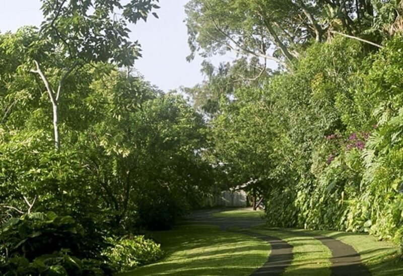 Honolulu: Liljestrand House Architectural Tour - Accessibility and Limitations