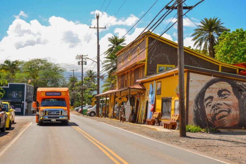 Honolulu: Oahu Island Full-Day Guided Tour by Bus with Lunch - Sampling Local Flavors and the Dole Plantation
